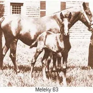 Meleky