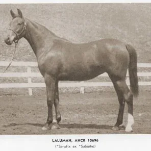 Lalumah