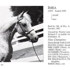 Imra