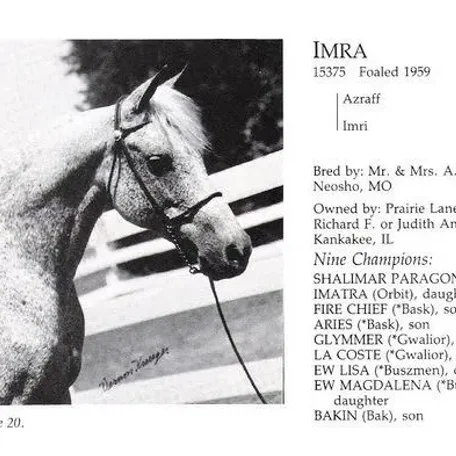 Imra