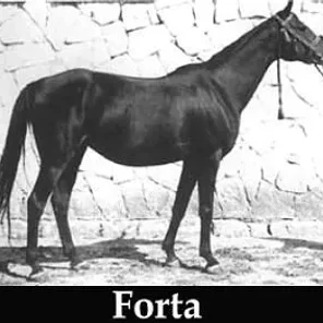 Forta