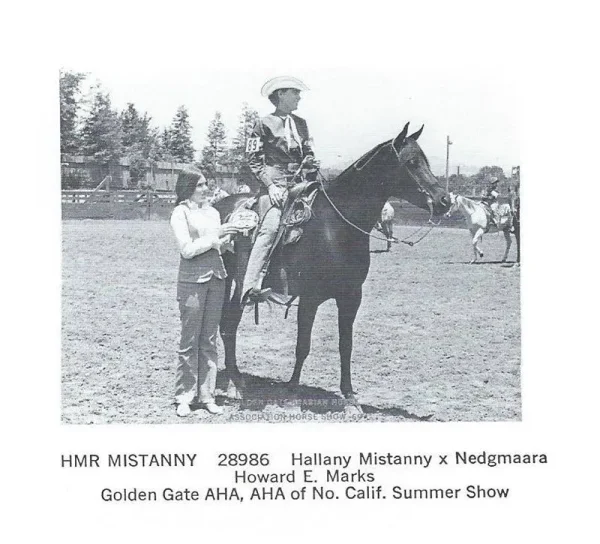 HMR MISTANNY