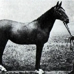Meshura