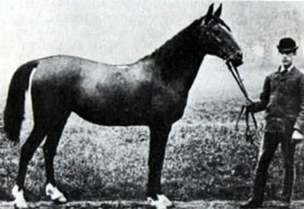 Meshura