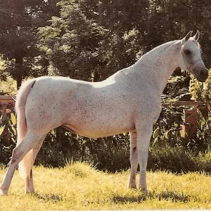Talbreena