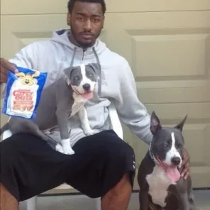 Some of the Most Inspiring Pets in Sports