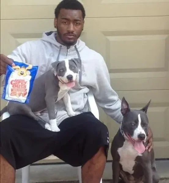 Some of the most inspiring pets in sports. Alan Blanchard, CC Sabathia, Dallas Braden, Dane Fletcher, David Price, J Ross, KD Trey, Martin Truex, Maryse Ouellet, Kelly Kelly, REggie Bush, Sally Fitz, Santonio Bella, Sarah Sjo, Spudd