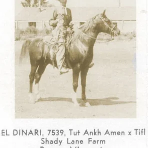 EL DINARI