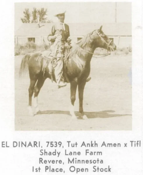 EL DINARI