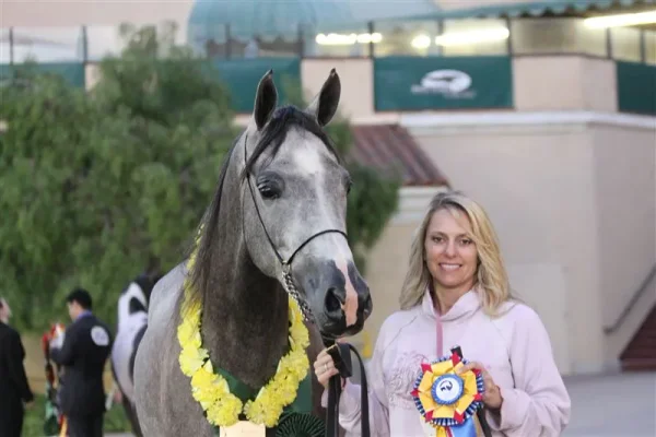 Region One Arabian Horse Show 2012