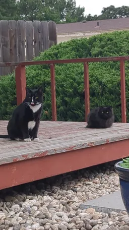 Treatman hanging out with his daughter, Fluffybutt