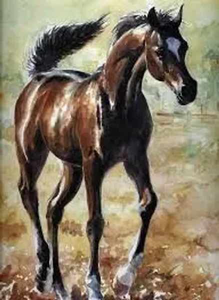 2019 Luxemere foal 3, Acevedo & Roberson