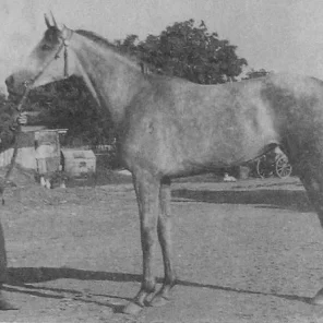 Teplitsa