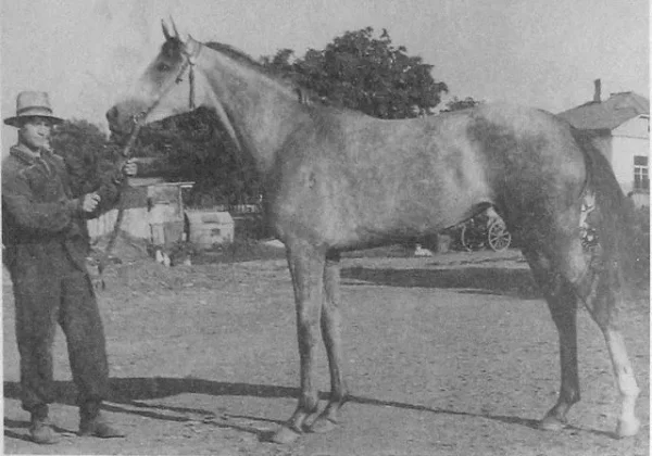 Teplitsa