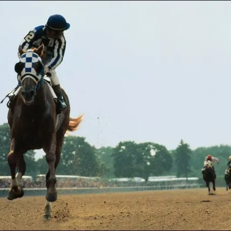 Photolog of a few Secretariat special moments