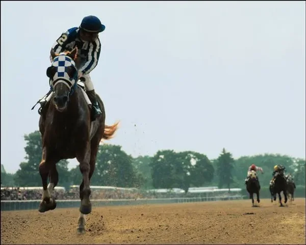 Photolog of a few Secretariat special moments