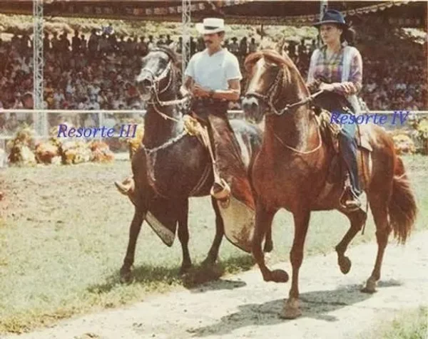 Resorte III
