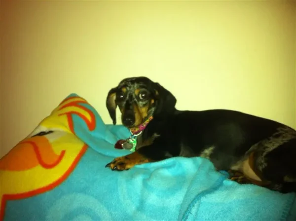 Roxy
