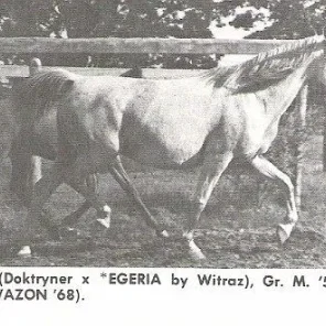 Egreta