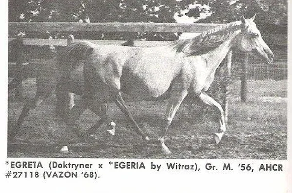 Egreta
