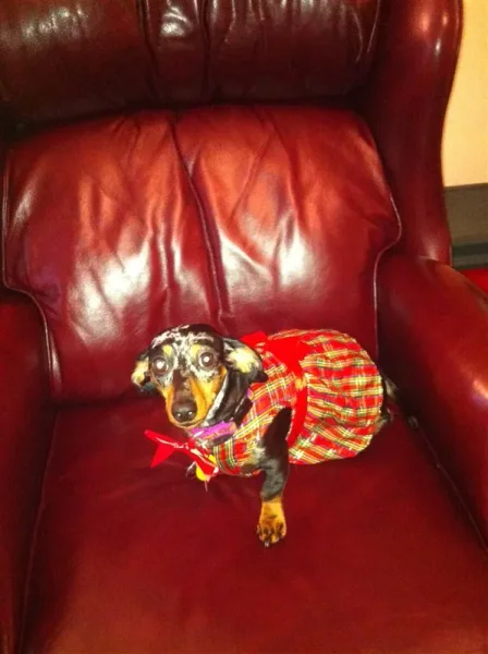 Roxy