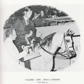 Galbor