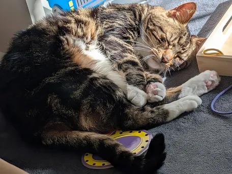 Look at those wiskers...