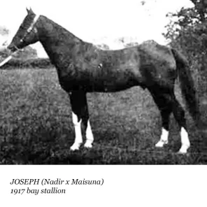 Joseph
