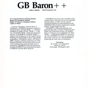 GB Baron++