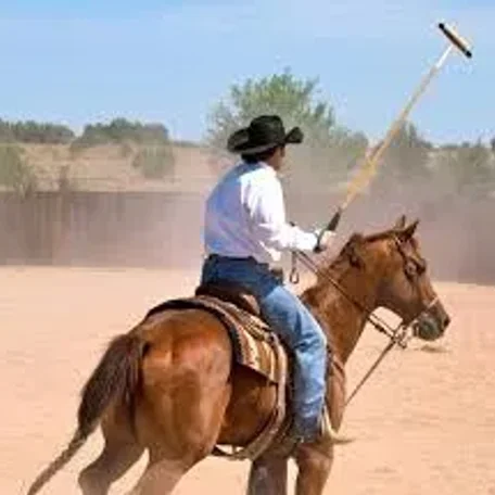 Cowboy Polo