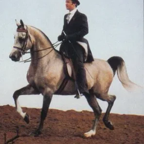 AK SHAH MONIET