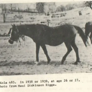 Kola