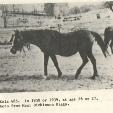 Kola