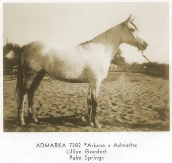 Admarka