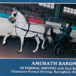 Amurath Bakonur