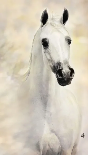 This white beauty is one of my most favorite Versace daughters!
IVORY LAVITA E BELLA ( VERSACE x IVORY KOMETA )