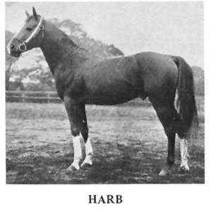 HARB