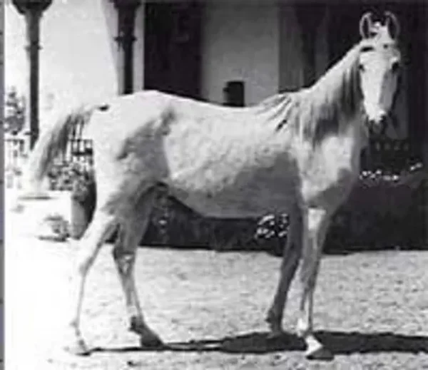 GALILA
