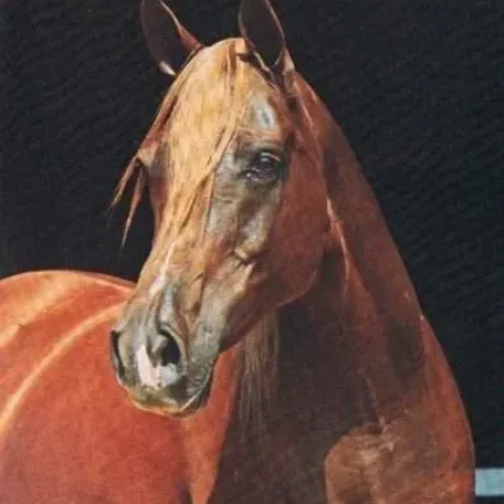 ALNAHR MONA LISA