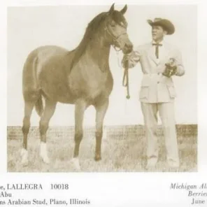 LALLEGRA