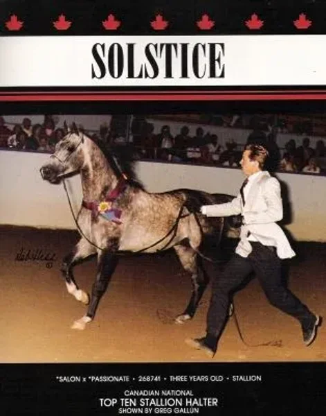 SOLSTICE