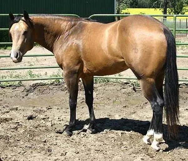 Bryant Ranch
