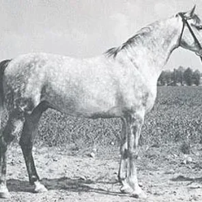 Eleuzis