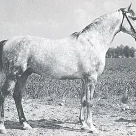 Eleuzis