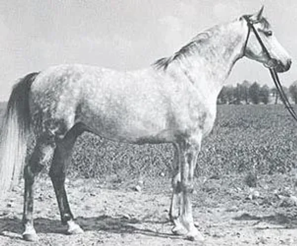 Eleuzis
