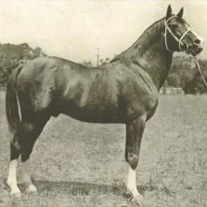 Ibn Mahruss