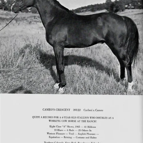 CAMEOS CRESCENT