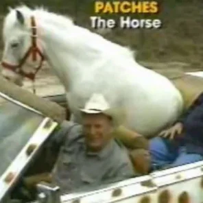 Meet Patches, The Convertible-Cruising, Burger-Eating Pet Horse
