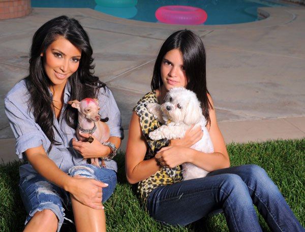 Doggone! Kardashian Family Pets Disappear Into Thin Air