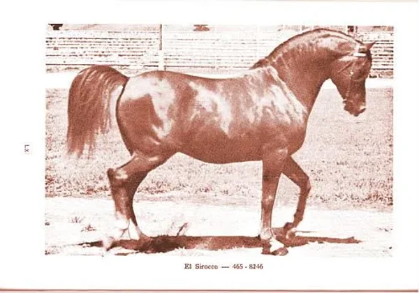 El Sirocco